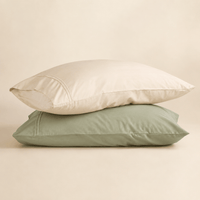 Pair of bamboo pillowcases